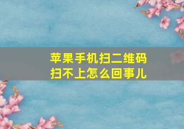 苹果手机扫二维码扫不上怎么回事儿