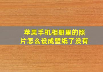 苹果手机相册里的照片怎么设成壁纸了没有