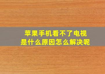 苹果手机看不了电视是什么原因怎么解决呢