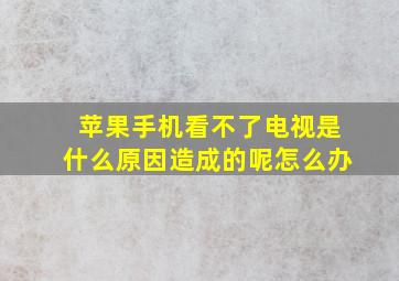 苹果手机看不了电视是什么原因造成的呢怎么办