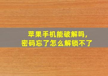 苹果手机能破解吗,密码忘了怎么解锁不了