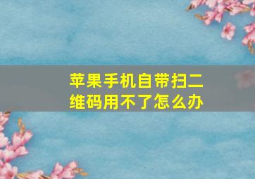 苹果手机自带扫二维码用不了怎么办