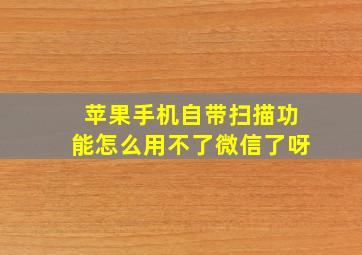 苹果手机自带扫描功能怎么用不了微信了呀