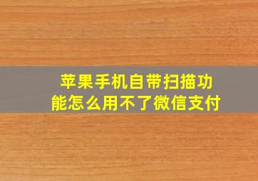 苹果手机自带扫描功能怎么用不了微信支付