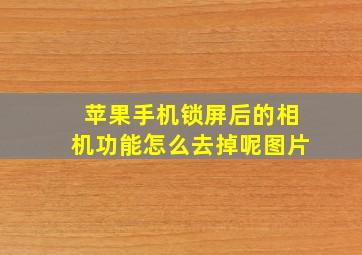 苹果手机锁屏后的相机功能怎么去掉呢图片