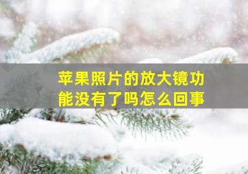 苹果照片的放大镜功能没有了吗怎么回事