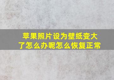 苹果照片设为壁纸变大了怎么办呢怎么恢复正常