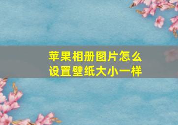 苹果相册图片怎么设置壁纸大小一样