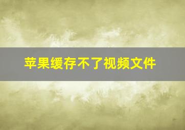 苹果缓存不了视频文件