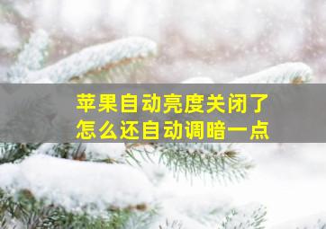 苹果自动亮度关闭了怎么还自动调暗一点