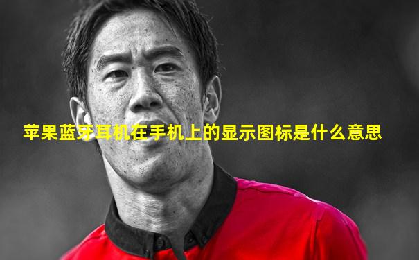 苹果蓝牙耳机在手机上的显示图标是什么意思