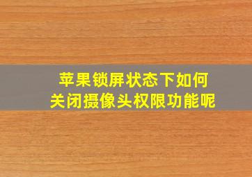 苹果锁屏状态下如何关闭摄像头权限功能呢