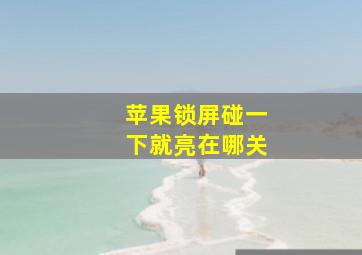 苹果锁屏碰一下就亮在哪关