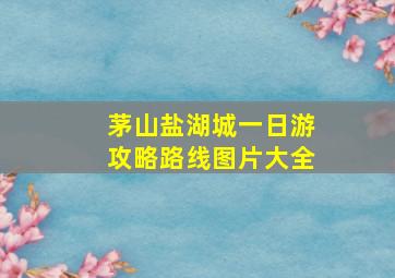 茅山盐湖城一日游攻略路线图片大全