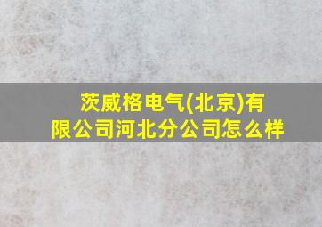 茨威格电气(北京)有限公司河北分公司怎么样