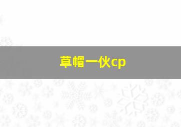 草帽一伙cp