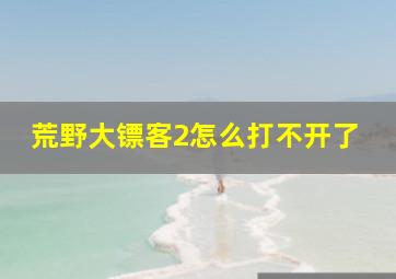 荒野大镖客2怎么打不开了