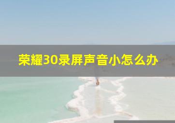 荣耀30录屏声音小怎么办