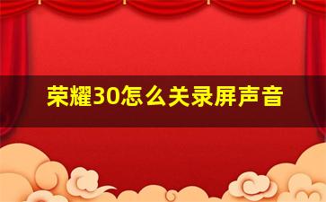 荣耀30怎么关录屏声音