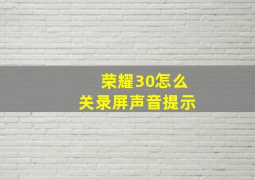 荣耀30怎么关录屏声音提示