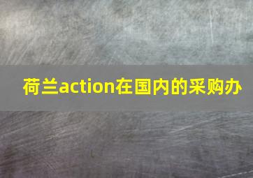 荷兰action在国内的采购办