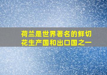 荷兰是世界著名的鲜切花生产国和出口国之一