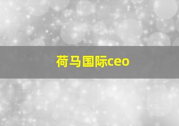 荷马国际ceo