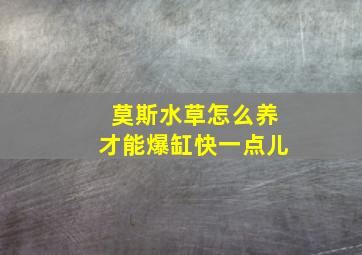 莫斯水草怎么养才能爆缸快一点儿