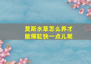 莫斯水草怎么养才能爆缸快一点儿呢