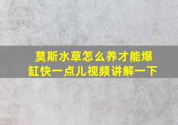 莫斯水草怎么养才能爆缸快一点儿视频讲解一下