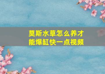 莫斯水草怎么养才能爆缸快一点视频