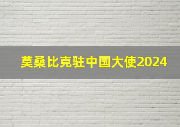 莫桑比克驻中国大使2024