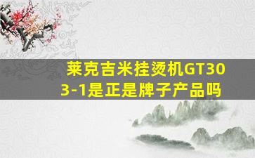 莱克吉米挂烫机GT303-1是正是牌子产品吗