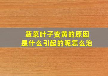 菠菜叶子变黄的原因是什么引起的呢怎么治