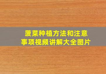 菠菜种植方法和注意事项视频讲解大全图片