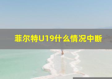 菲尔特U19什么情况中断