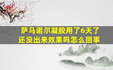 萨马诺尔凝胶用了6天了还没出来效果吗怎么回事