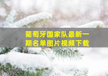 葡萄牙国家队最新一期名单图片视频下载