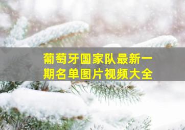 葡萄牙国家队最新一期名单图片视频大全