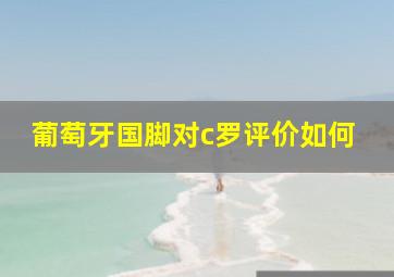 葡萄牙国脚对c罗评价如何