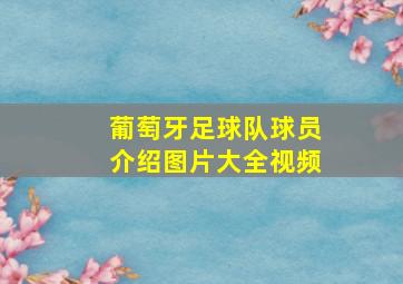 葡萄牙足球队球员介绍图片大全视频