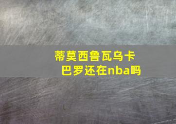 蒂莫西鲁瓦乌卡巴罗还在nba吗