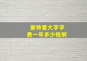 蒙特雷大学学费一年多少钱啊