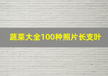 蔬菜大全100种照片长支叶