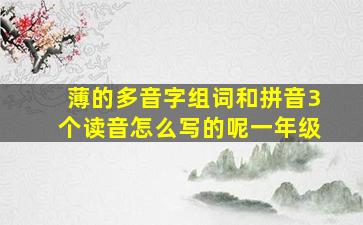 薄的多音字组词和拼音3个读音怎么写的呢一年级