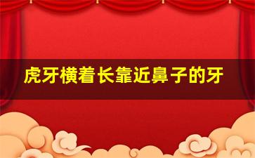 虎牙横着长靠近鼻子的牙