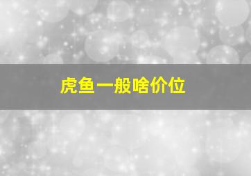 虎鱼一般啥价位