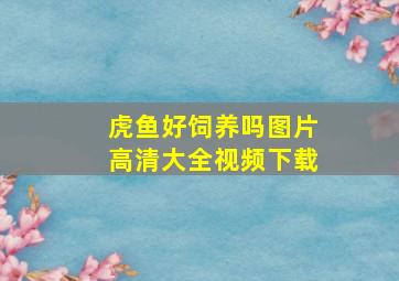 虎鱼好饲养吗图片高清大全视频下载