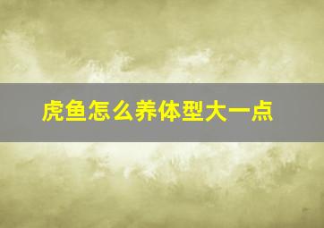 虎鱼怎么养体型大一点