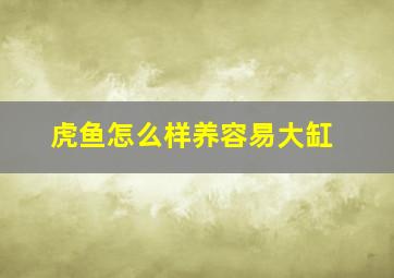 虎鱼怎么样养容易大缸